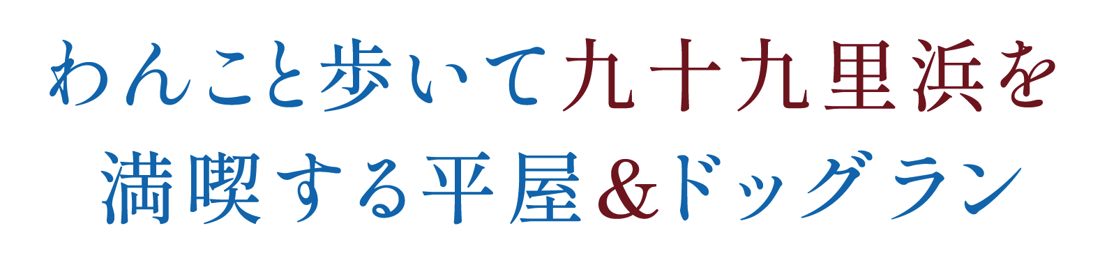 山武市にて